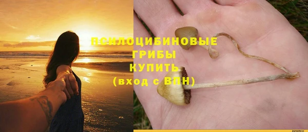 spice Бородино