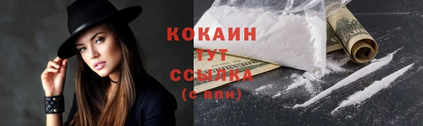 первитин Богородицк