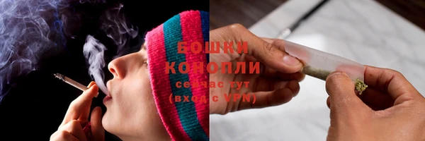 spice Бородино