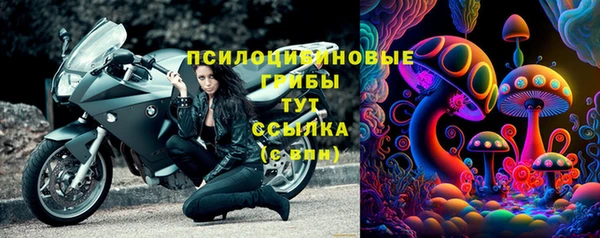 spice Бородино