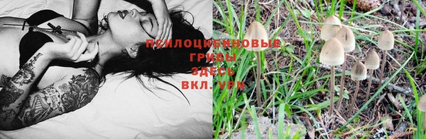 соль курить ск Бронницы